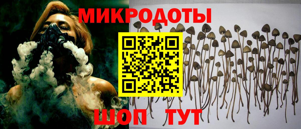 Галлюциногенные грибы мухоморы Кулебаки