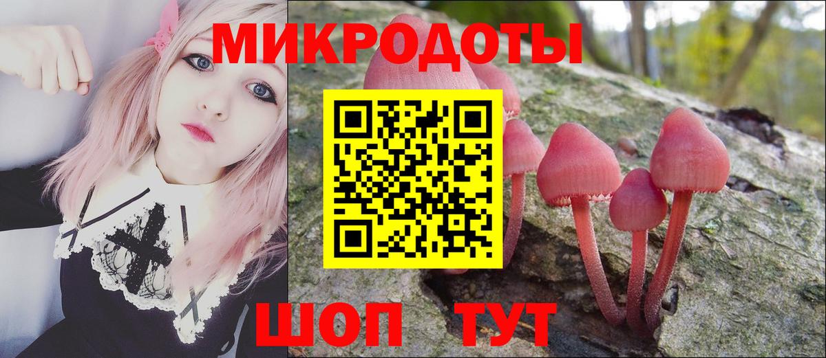 Псилоцибиновые грибы мицелий  Псилоцибиновые грибы прущие грибы  Кулебаки  Вход с VPN 